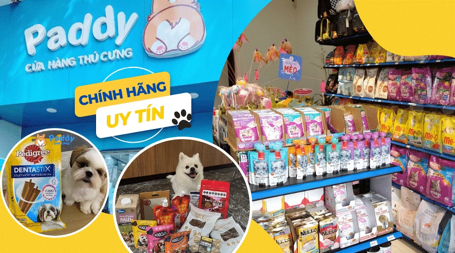 Cửa hàng thú cưng với đội ngũ nhân viên chuyên nghiệp