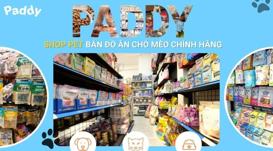 Dịch vụ chăm sóc thú cưng