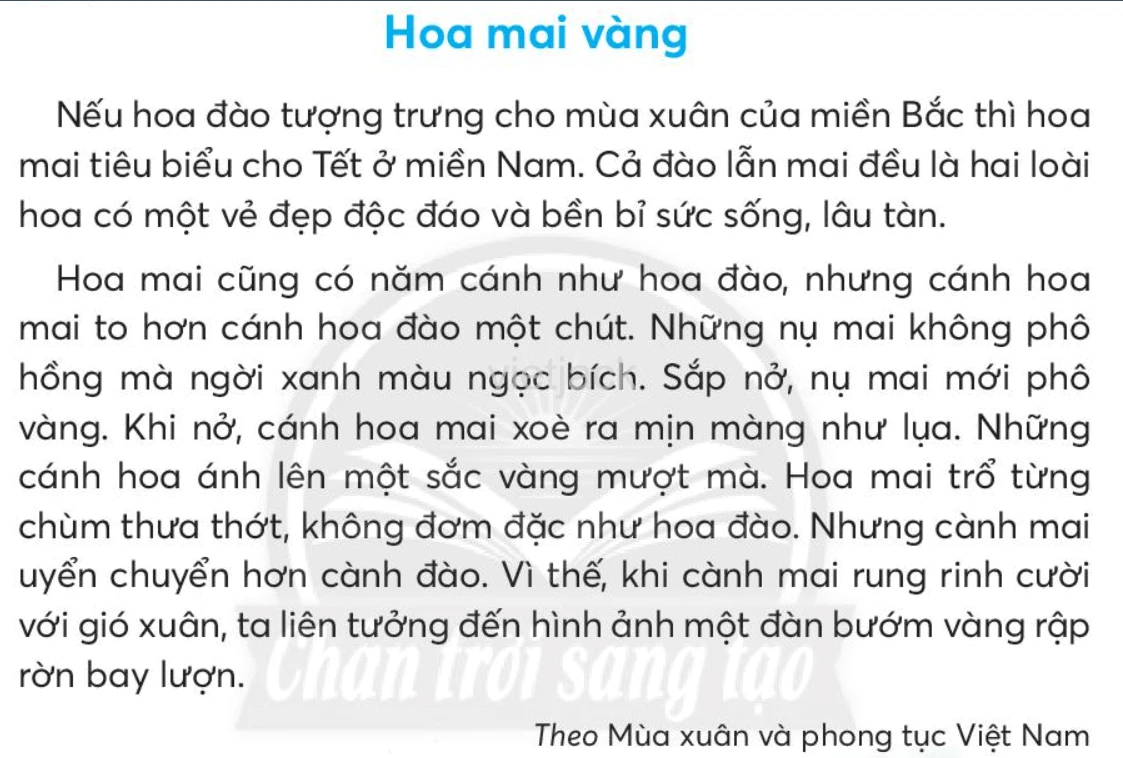 Hình ảnh hoa mai vàng