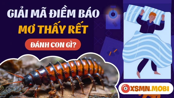 Mơ thấy rết đánh số gì