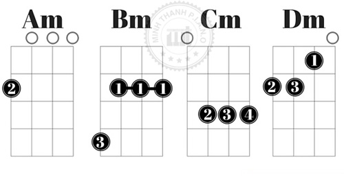 Chi tiết về 21 hợp âm Ukulele cơ bản và thông dụng nhất