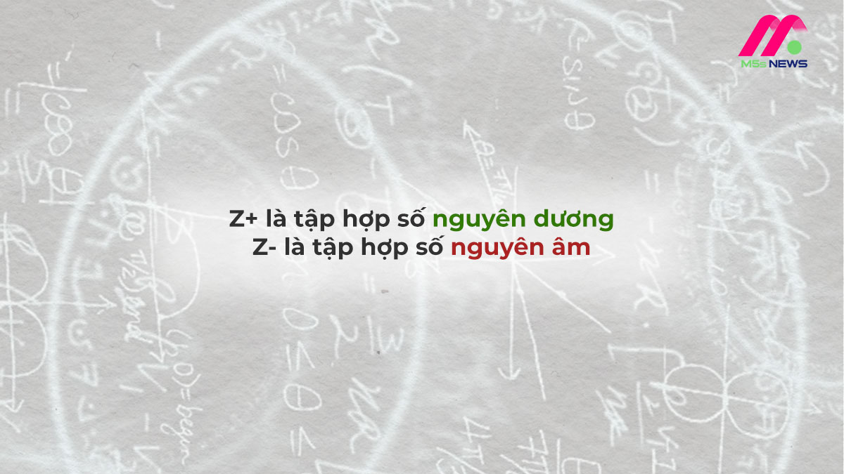 Z là tập hợp số gì? Các dạng bài tập về số nguyên Z