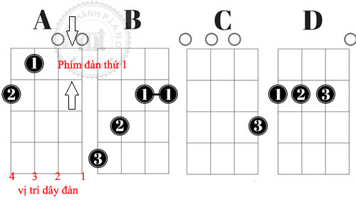 Chi tiết về 21 hợp âm Ukulele cơ bản và thông dụng nhất