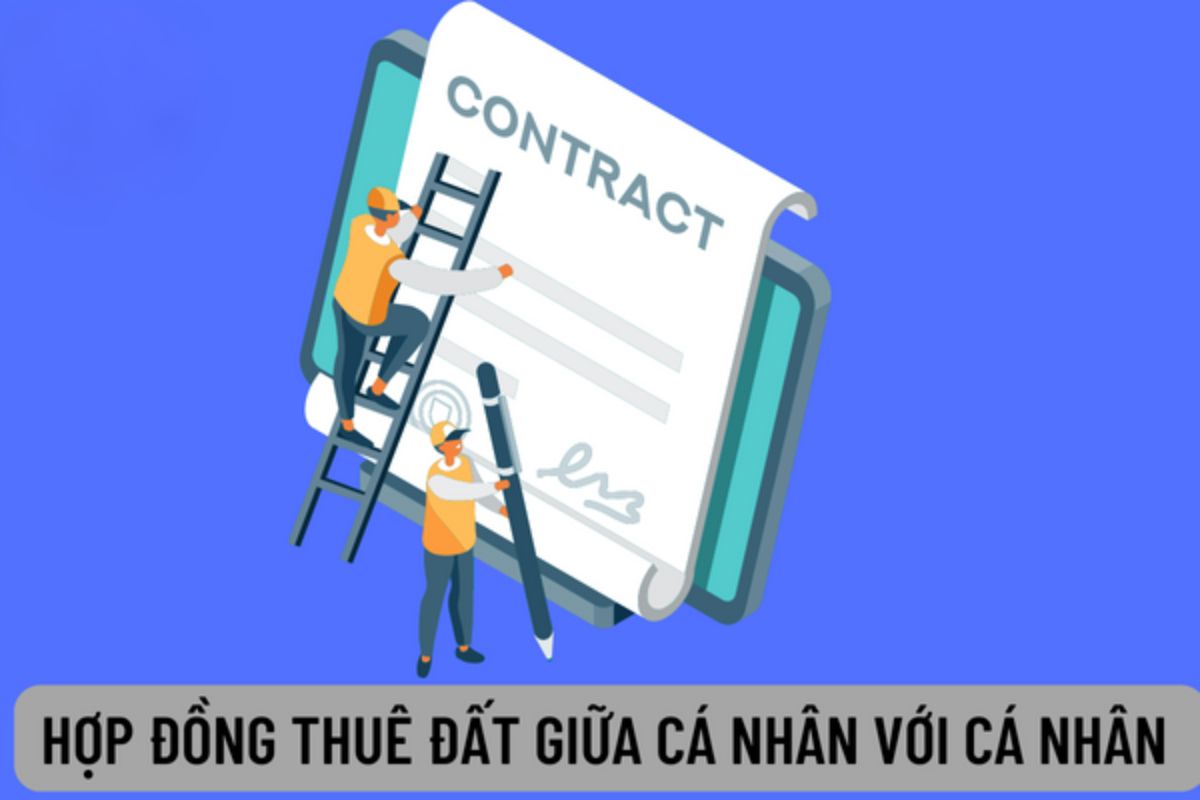 Mẫu hợp đồng thuê đất cá nhân mới nhất quy định hiện nay 