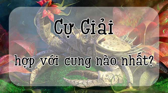 26/6 là cung gì - Sinh ngày 26/6 cung hoàng đạo nào - ngày 26 tháng 6 cung hoàng đạo nào