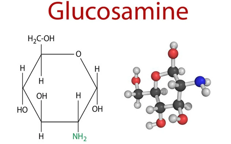 Mua glucosamine của Mỹ loại nào tốt? Giá cả như thế nào?