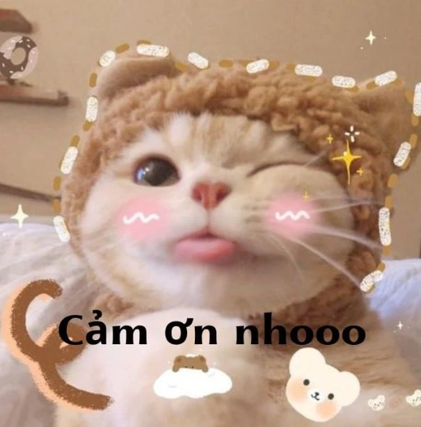 Tải ngay 50+ ảnh cảm ơn meme cute, hài hước nhất