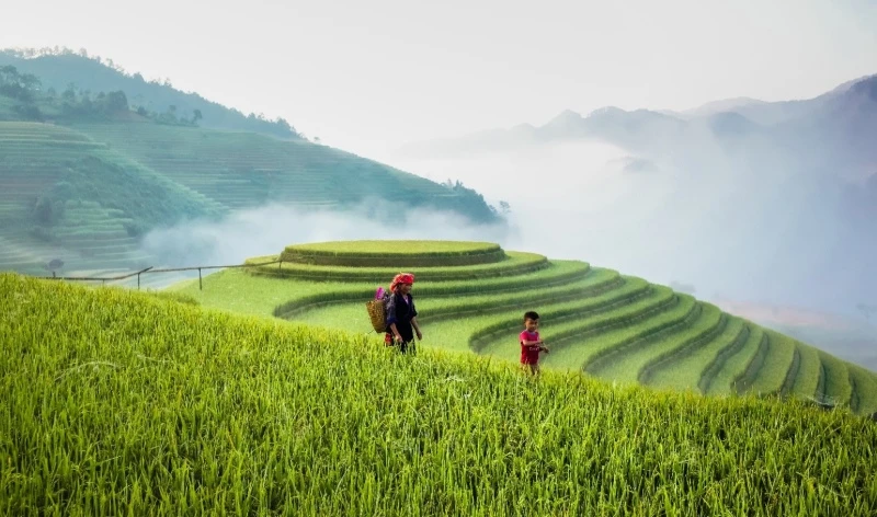 Du lịch Yên Bái mùa nào đẹp nhất? Khám phá 4 mùa Tây Bắc