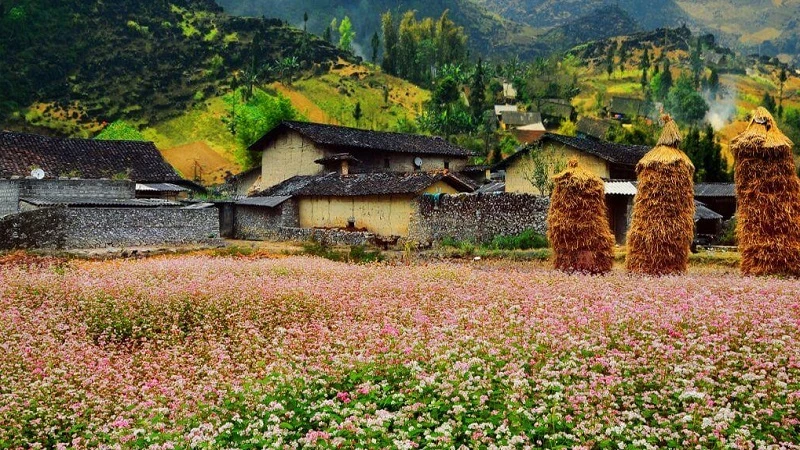 15 địa điểm du lịch Hà Giang check in đẹp quên lối về