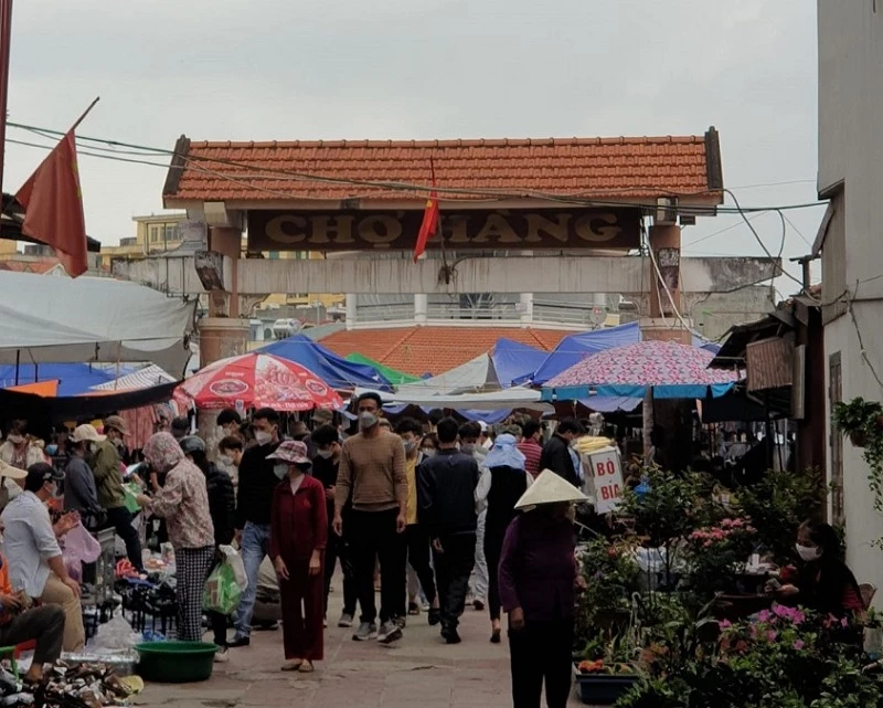 Top 15 địa điểm du lịch Hải Phòng đẹp và nổi bật nhất